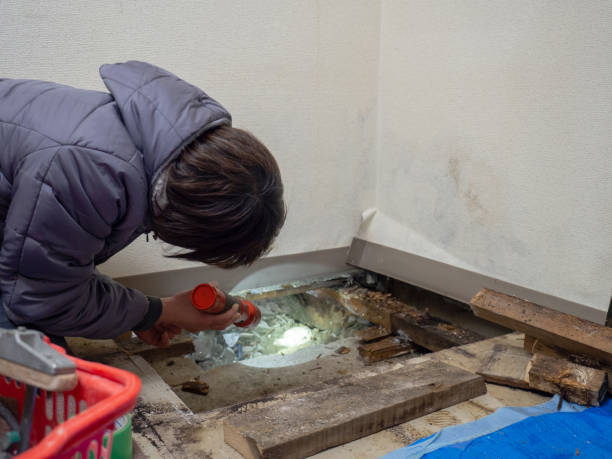Mold Remediation for Rental Properties in Thomson, GA