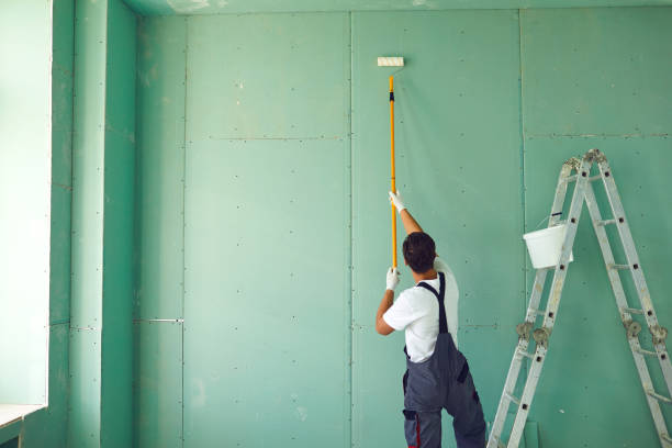 Best Basement Mold Removal  in Thomson, GA