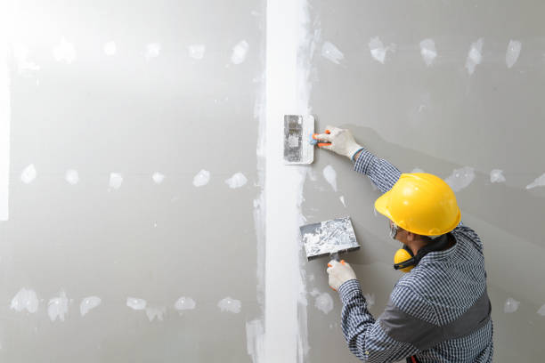 Reliable Thomson, GA Mold Removal Solutions