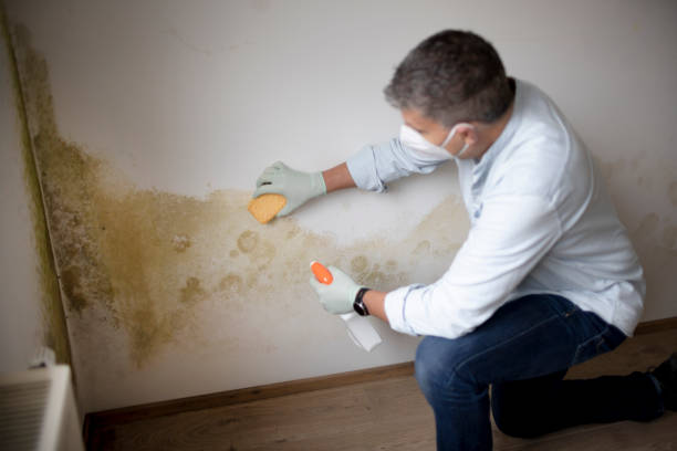 Best Residential Mold Inspection & Testing  in Thomson, GA