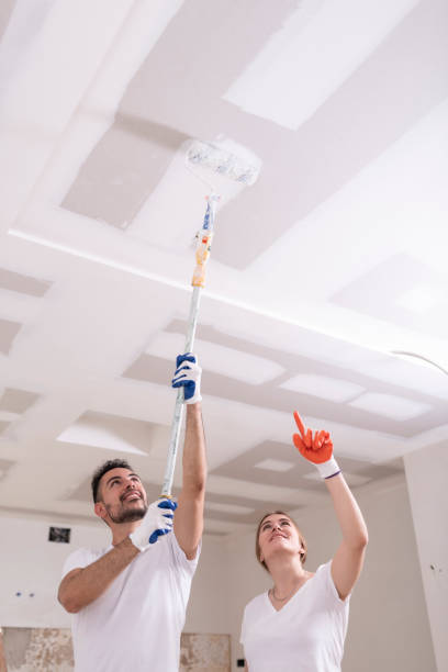 Best Commercial Mold Inspection  in Thomson, GA