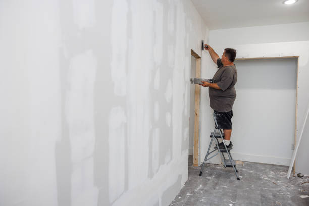 Best Black Mold Removal  in Thomson, GA