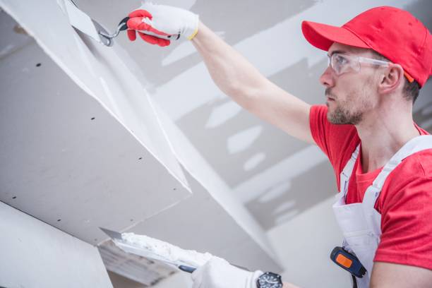 Forensic Mold Investigation in Thomson, GA